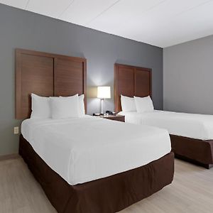 Standard Double Room Two Double Beds Non-Smoking